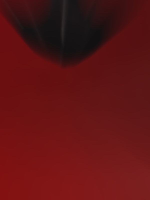 「"BULLETPROOF" THERMAL TIGHTS / 防弹连裤袜」